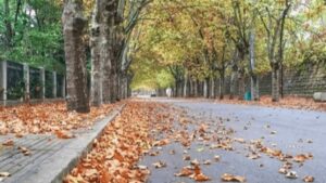 الطقس الخريفي مستمر في لبنان.. متى تنحسر الأمطار؟